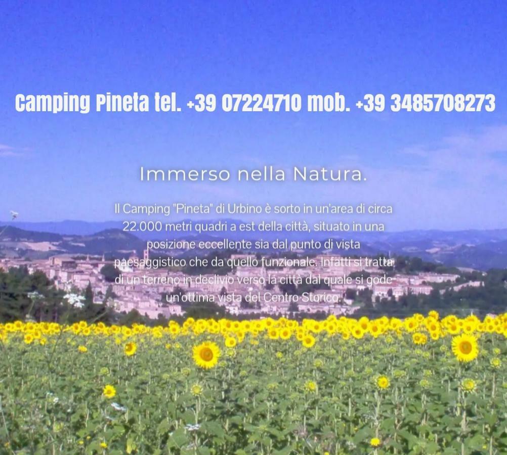 Hotel Camping Pineta Urbino Exterior foto